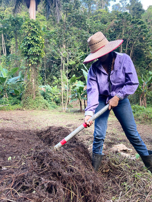 🌿 ¡Optimiza tu Finca con un Servicio de Visita Especializada! 🌿