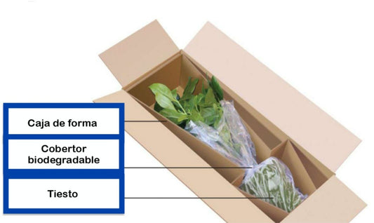 ÁRBOLES PARA ENVÍO